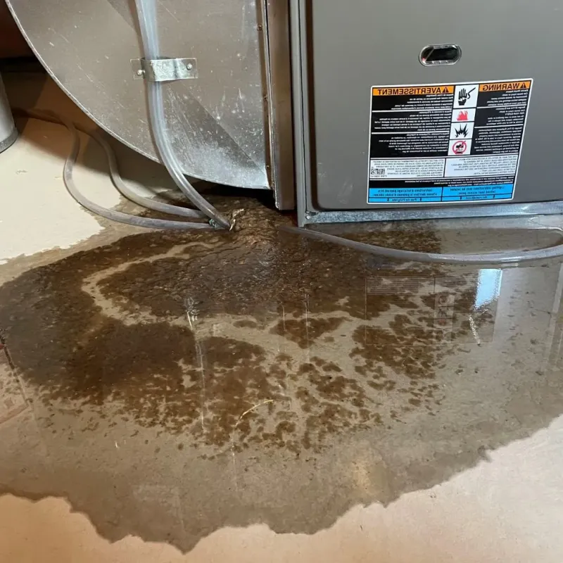 Pipe Burst and Leak Restoration in Fall River County, SD